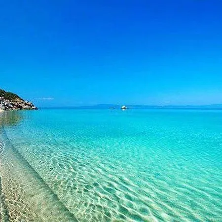 Paradise *